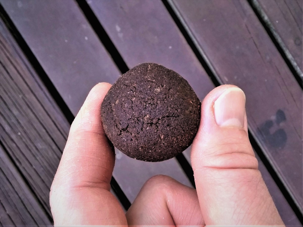 Chocolate Bliss Balls